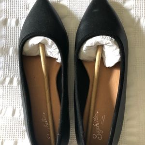 Size 6.5 Sychelle pointy toe flats, New in box